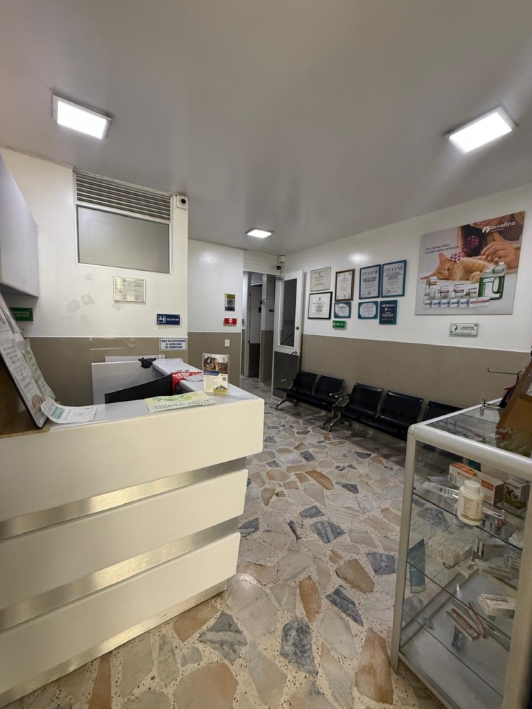 Local en Venta | Barrios Unidos | 404 m2 — foto 6