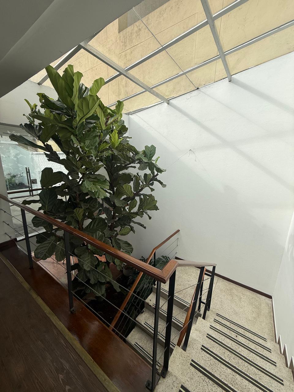 Local en Arriendo | Rosales | 350 m2 — foto 16