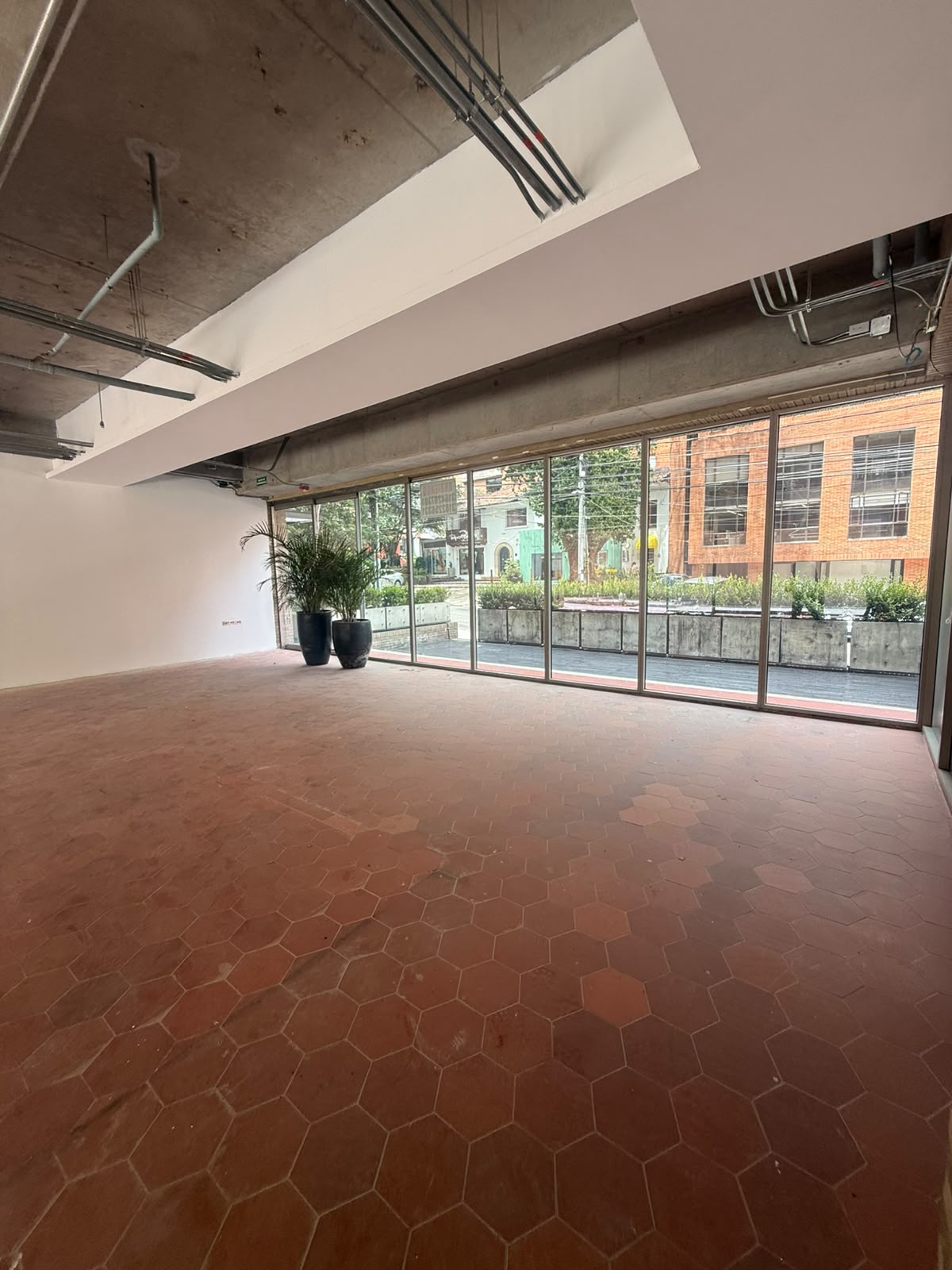 Local en Arriendo | Nogal | 179 m2